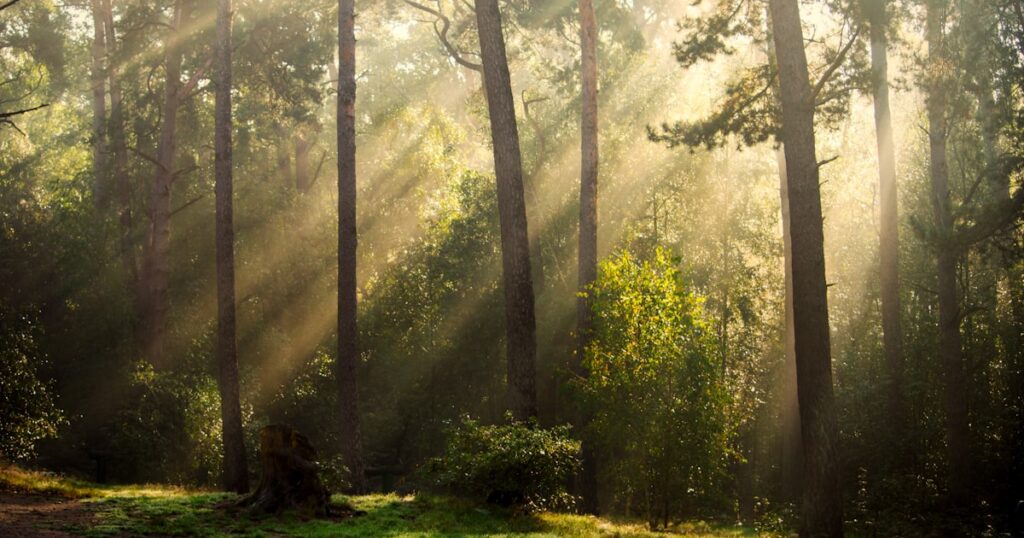 What Does “Born Again” Really Mean? Unpacking Saved, Grace, and Regeneration